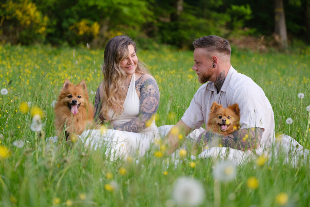 Paar sitzt mit Hunden auf einer Wiese