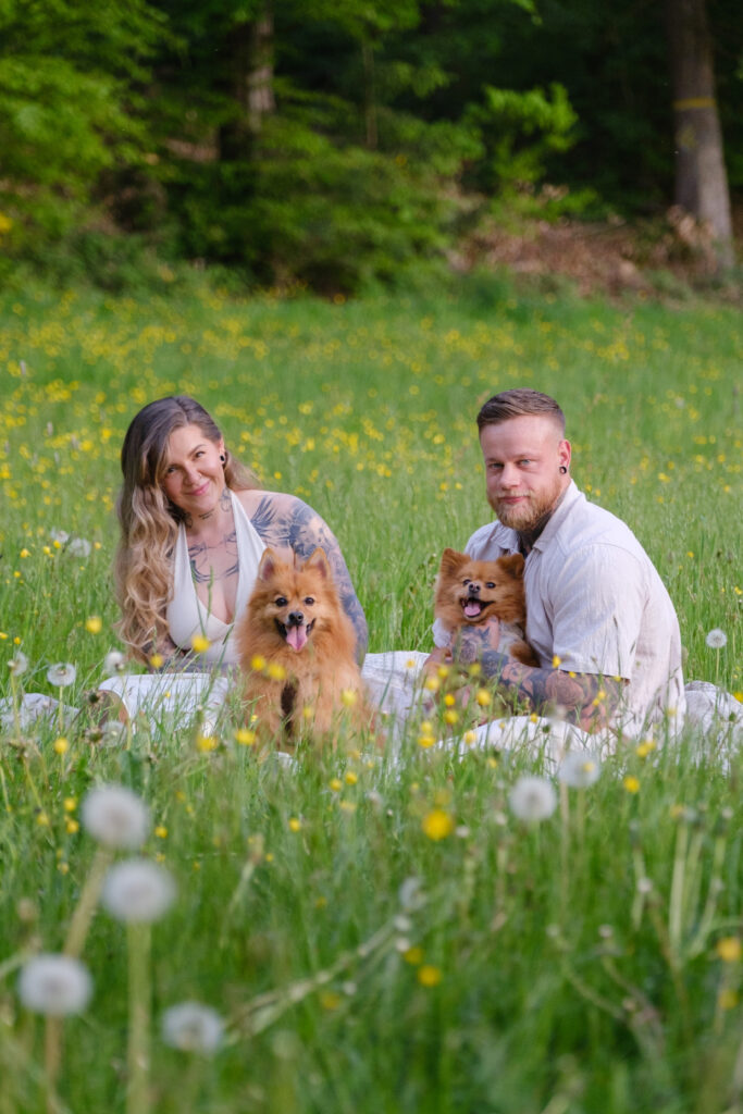 Paar sitzt mit Hunden auf einer Wiese